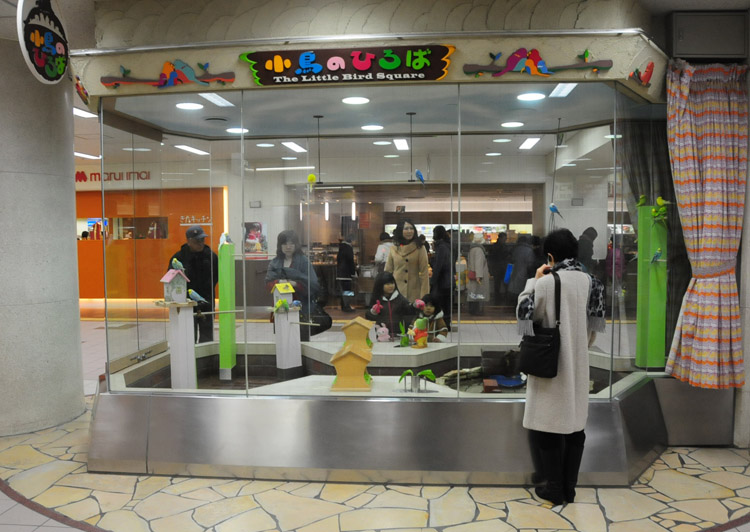 日本野鳥の会 札幌支部 小鳥のひろば