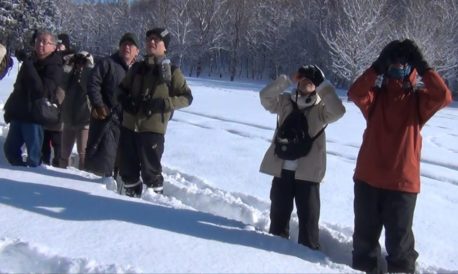 アカゲラ観察中