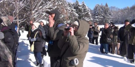 アカゲラを観察中です　