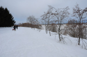 雪の遊歩道